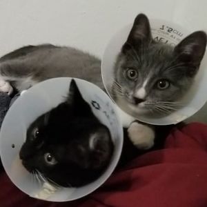 Meet your Posher, Alexandra